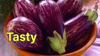 BRINJAL Masala For Rice/ Roti | BAINGAN Masala | EGGPLANT Recipes