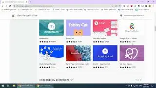 Install a Google Chrome Extension (Google Chrome)