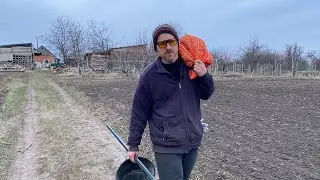 This Jew could be a millionaire! But he's just planting onions with his son...