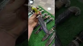 Очень красивые ножи новинки
