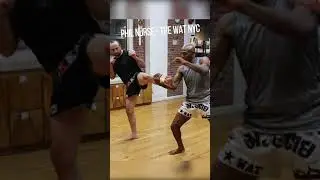 Muay Thai Flying Knee to Counter the Kick 