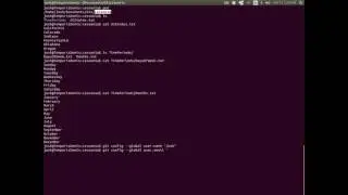 Git Command Line - Lesson 1, Part 1 - Initial global setup
