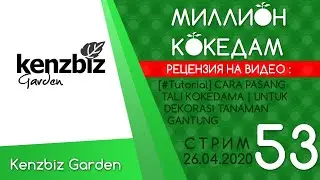 #МИЛЛИОНКОКЕДАМ-53 Рецензия: [#Tutorial] CARA PASANG TALI KOKEDAMA | UNTUK DEKORASI TANAMAN GANTUNG
