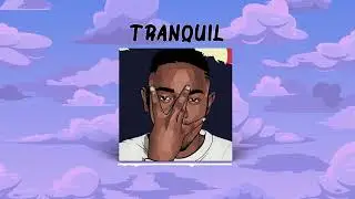 "🌊 Tranquil" | Kendrick Lamar type beat | Section 80 type beat | good kid maad city type beat
