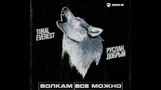 Волкам всё можно - ХИТЫ 2023 🎉Музыка в тренде 2023🔥Новинки 2023