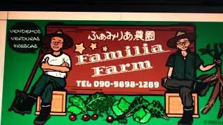 Fomos visitar a horta do Pedro no Japão.