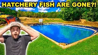 My Backyard HATCHERY Fish are GONE!?!? (I Need Help)