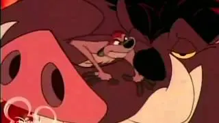 Timon & Pumbaa Get Semi-Vored