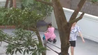 Vid