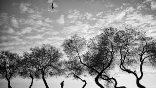 Smashing Pumpkins- Once upon a Time