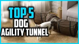 ✅Top 5 Best Dog Agility Tunnel in 2024