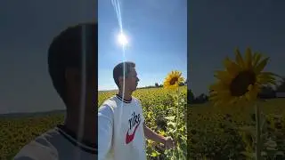 Мечты сбываются