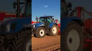 | La Nuova Maxima della Brezzi Farm| New Holland T6.175 & Kuhn Maxima|  #agriculture #farming