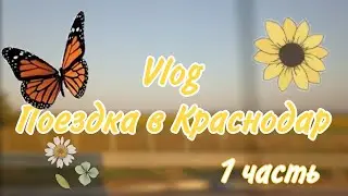 {🍀}Vlog🌿Поездка в Краснодар⛰️Целый день в дороге🌻Mary💗{📋}