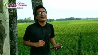 Ator golap soya chondon/ আতর গোলাপ সোয়া চন্দন