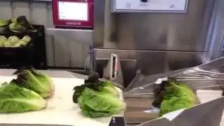Горизонтальный упаковщик PFM Shamal упаковка зелени, овощей
