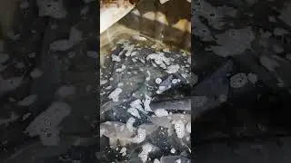 5 ноября 2024 г.