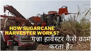 How Sugarcane Harvester Works? गन्ना हार्वेस्टर कैसे काम करता है? हिंदी में.