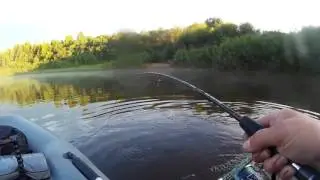 Пятунино 2