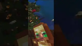 POV of a Totem of Undying on Minecraft. 