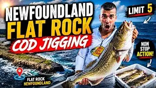 NEWFOUNDLAND FLAT ROCK COD JIGGING