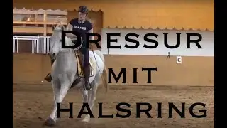 Dressur und Halsring ???