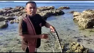 Bermain Ular Di Pulau Ular Wera Bima NTB
