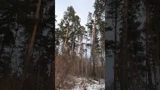 3 января 2024 г.