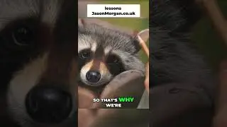 Creating Depth in Art: The Fur Technique Explained!