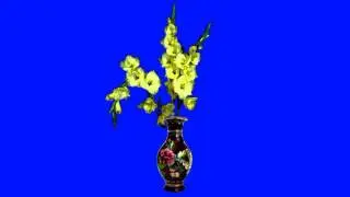 green screen- vase with flowers (real) 1080p full hd