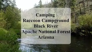 Camping at Raccoon Campground along the Black River in Arizona