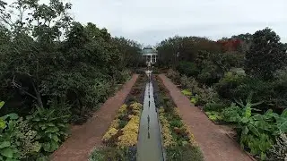 Soaring through Daniel Stowe Botanical Garden