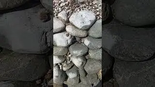 Совет по мойке пруда