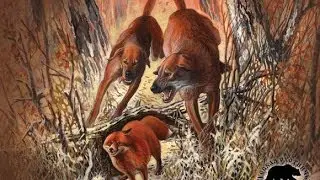 The Hunter [Обзор игр]