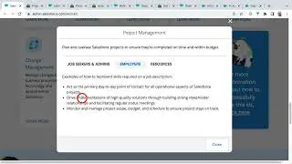 Skill #14 Project Management - Salesforce Admin Skills Kit
