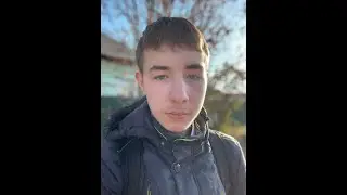 мем про дольфи