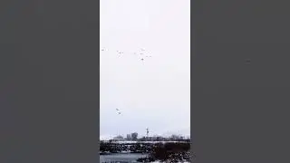 After leaving the blind