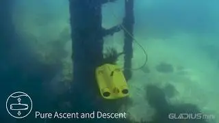 CHASING GLADIUS MINI UNDERWATER DRONE | pure ascent and descent