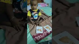 Little Genius: Dhanvika Masters Animal Flashcards!