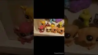 My lps collection