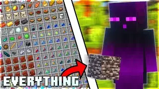 I got EVERYTHING in Minecraft...