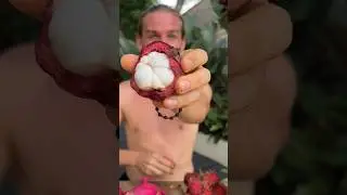 The Best Fruit In The World