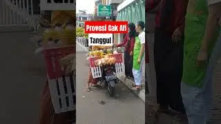 provesi Cak Afi| #tanggul Sehat #tanggul barokah
