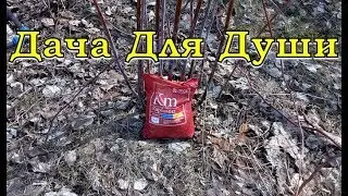 Чем  и Когда кормить МАЛИНУ?