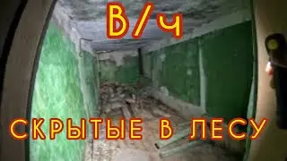 Очередная заброшка в лесу