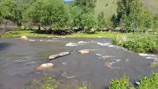 Река Сема. Алтай (21.06.2022)