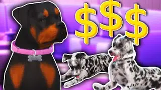 How Much Money Can I Make if I Only Sell Puppies?