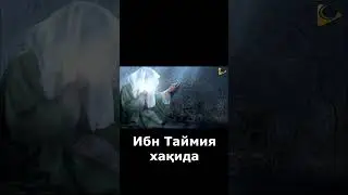 ибн таймия хақида