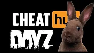 DayZ Читер попался и дал интервью - Админские будни