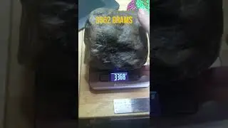 Stony Iron Lunar Meteorite 3362g Slice shows huge Iron and Nickle deposit